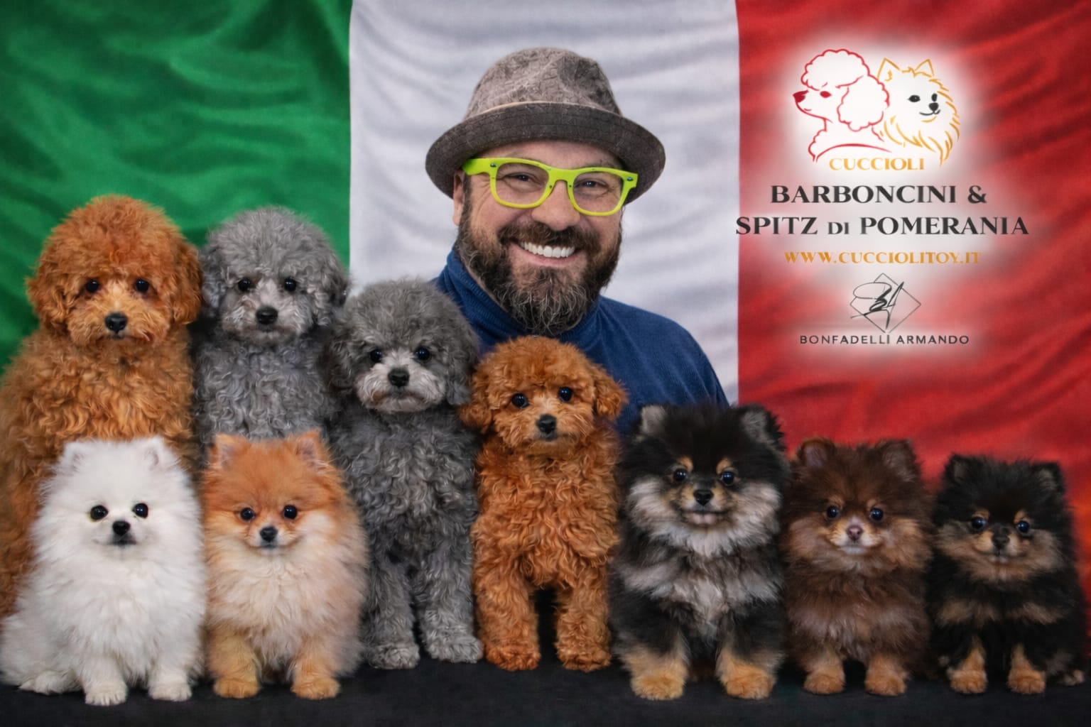 Allevamento Barboncini